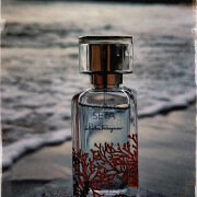 Oceani di Seta Salvatore Ferragamo perfume - a fragrância