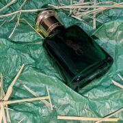 Photo by Tellstroy_Official