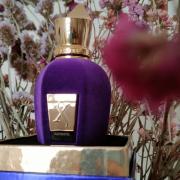 Accento Xerjoff perfume - a fragrance for women and men 2019