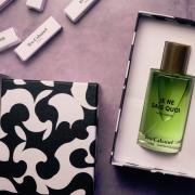 香水(ユニセックス) Teo Cabanel JE NE SAIS QUOI 100ml JE NE SAIS QUOI Genmaisha Addictive unisex fragrance – Teo