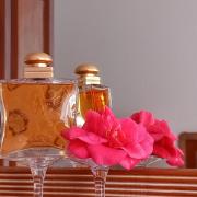 24 Faubourg Hermès 香水- 一款1995年女用香水