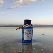 Blu Mediterraneo Bergamotto di Calabria by Acqua di Parma Eau de Toilette Spray (Tester) 5 oz