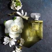 Chanel No 19 Poudre Chanel perfume - a fragrance for women 2011