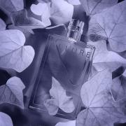 新品未使用　CHANEL ALLURE Eau de Toilette ALLURE EAU DE TOILETTE SPRAY - 100 ml | CHANEL