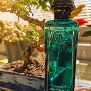 Eau d'Orange Verte Hermès parfum - un parfum unisex 2009