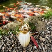 Photo by Bloodberry1