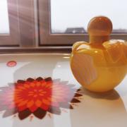 Photo by Christine 78