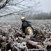 Photo by Alex Guerra Terra