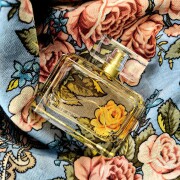 Gold Roberto Verino perfume - a fragrância Feminino 2009