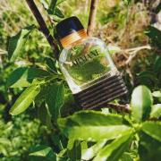 Armani Eau Pour Homme Giorgio Armani 古龙水- 一款1984年男用香水