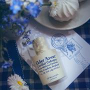 Photo by Engel desTodes