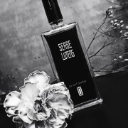La Nuit Tombée Serge Lutens perfume - a novo fragrância