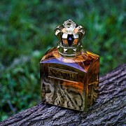 Scandal Pour Homme Absolu Jean Paul Gaultier 古龙水- 一款2024年男