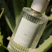 Photo by rachmanabraham