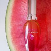 Inspired By MIAMI BLOSSOM - ESCADA (Womens 590), Palermo Perfumes