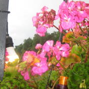 Photo by Vibia Sabina