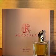 Amygdala Mendittorosa perfume - a new fragrance for women and men 2022