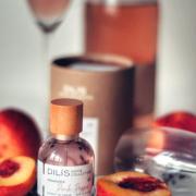 Photo by ТасамаяКсения