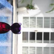 Photo by ika_deshooters