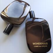 WONDEROUD COMME des GARÇONS IMG_7909_grande.jpg?v=1671093711