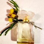 Couleur Kenzo Jaune-Yellow Kenzo perfume - a fragrance for women 2012