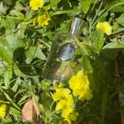 Photo by NoorbBelgium