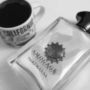 Portrayal Man Amouage cologne - a fragrance for men 2019