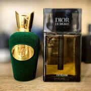 Photo by SteluStelly