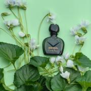 Haute Couture Mila Schön 香水- 一款1981年女用香水