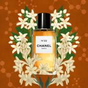 N22 by Chanel Parfum  Reviews  Perfume Facts