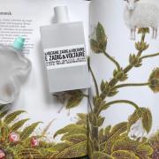 BABY TOUS EAU DE COLOGNE perfume by Tous – Wikiparfum