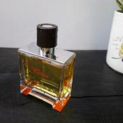 Terre d'Hermes Parfum Hermès cologne - a fragrance for men 2009