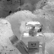 Chanel No 5 L'Eau Chanel fragancia - una fragancia para Mujeres 2016