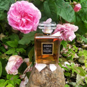 その他 CHANEL COCO Eau de Parfum 100ml Chanel Coco Eau De Parfum 100ml | Clear Chemist