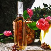 Scherrer 2 by Jean-Louis Scherrer (Eau de Parfum) » Reviews & Perfume Facts