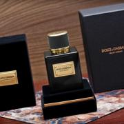 — Dolce & Gabbana Velvet Bergamot