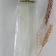 Photo by лимонадная