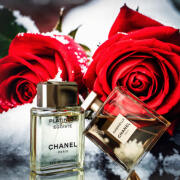 Egoiste Platinum Chanel cologne - a fragrance for men 1993
