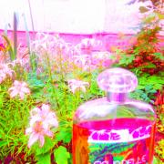 Photo by loveperfumes