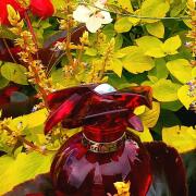 Cartier LES COLLECTIONS DE PARFUM 香水 コレクション 「ラ パンテール」 | フレグランス | カルティエ®