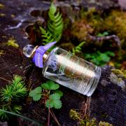 Lavandula Penhaligon's perfume - a fragrance for Lavandula Penhaligon's perfume - a fragrance for