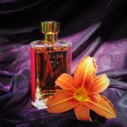Prada La Femme Intense for Women - Eau De Parfum Spray, 3.4 ounces  (8435137764433) : : Beauty & Personal Care