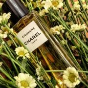 Les Exclusifs de Chanel Sycomore Chanel perfume - a fragrance for