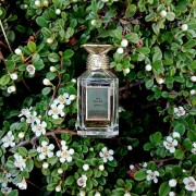 Iris Pallida Extrait 6 Guerlain parfum - un parfum unisex 2023