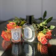 Eau Rose Diptyque perfume - a fragrance for women 2012