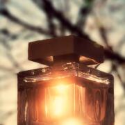 香水(女性用) NARCISO RODRIGUEZ Eau de Parfum Cristal Amazon.com : Narciso Rodriguez Cristal Eau de Parfum Women's