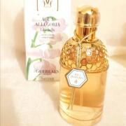 Aqua Allegoria Lilia Bella Guerlain perfume - a fragrance for women 2001