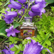 Photo by Lady Winter