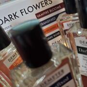 Photo by marycastillo320