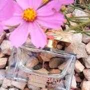 Rose The One Dolce&Gabbana perfume - a fragrance for